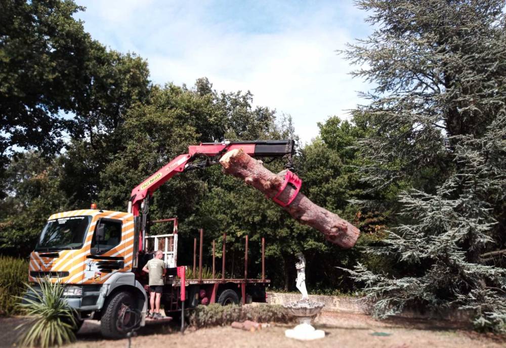 Grue-ecosystem
