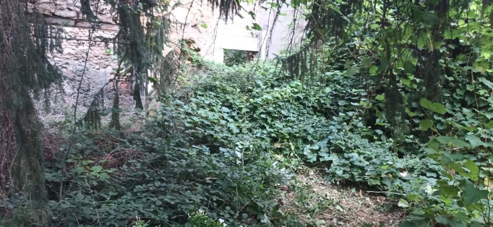Remise en état jardin (1)